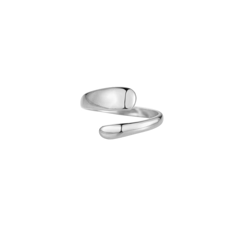 Silver ouroboros ring